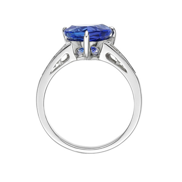 Premier 4.44 Carat Trillion Tanzanite & Princess Cut Ring - Tanzanite ...